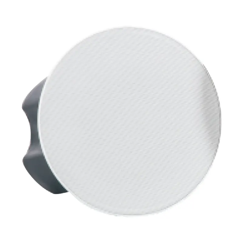 Altoparlante da soffitto Dante